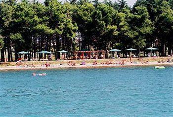 Cittar Novigrad Istria